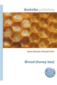 Brood (Honey Bee)