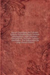 Les Lois Organiques Des Colonies: Colonies Francaises (Suite) Colonies Neerlandaises: Indes Orientales Neerlandaises; Suriname. Colonies Allemandes. . Etat Independant Du Congo (French Edition)