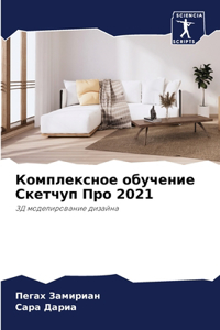 Комплексное обучение Скетчуп Про 2021