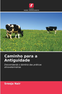 Caminho para a Antiguidade