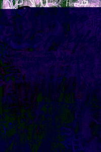 Il Colore Delle Parole