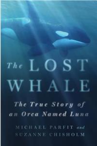 Lost Whale