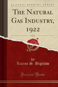 The Natural Gas Industry, 1922, Vol. 16 (Classic Reprint)