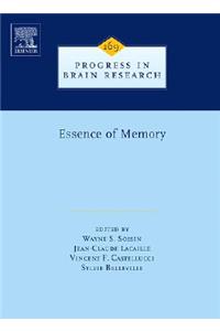 Essence of Memory