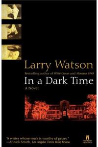 In a Dark Time: A Novel