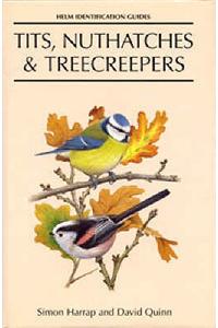 Tits, Nuthatches and Creepers