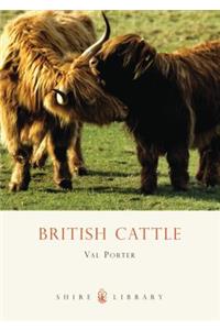 British Cattle