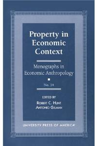 Property in Economic Context