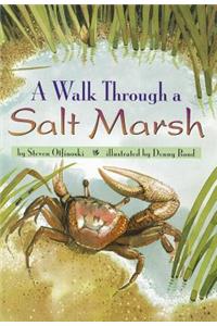 A Walk Through a Salt Marsh