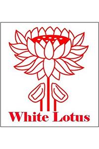 Voices From The City