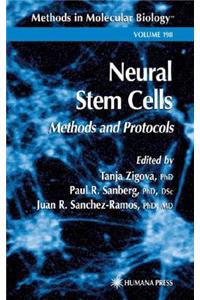 Neural Stem Cells