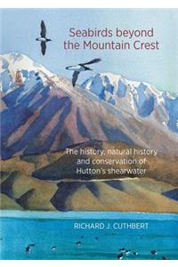 Seabirds Beyond the Mountain Crest