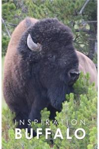 Inspiration Buffalo