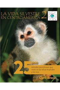 La vida silvestre en Centroamerica 2