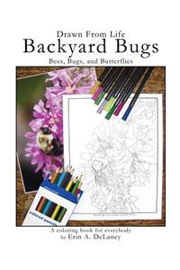 Drawn From Life Backyard Bugs