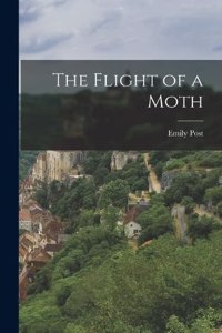 Flight of a Moth