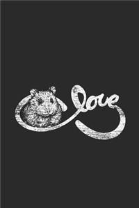Infinity Hamster