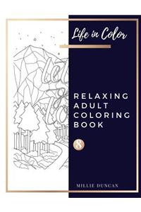 RELAXING ADULT COLORING BOOK (Book 8): Quotes and Inspirational Relaxing Coloring Book for Adults - 40+ Premium Coloring Patterns (Life in Color Series)