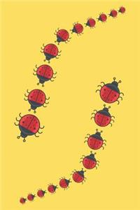 Ladybugs