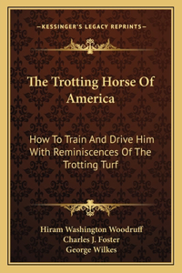 Trotting Horse of America