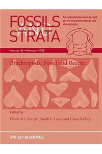 Brachiopoda