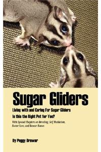 Sugar Gliders