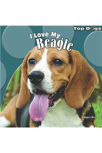 I Love My Beagle