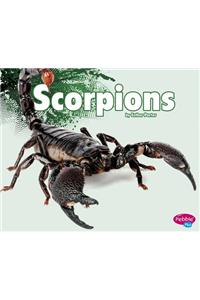 Scorpions
