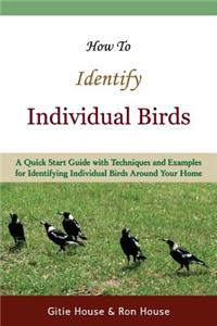 How To Identify Individual Birds