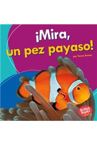 ¡mira, Un Pez Payaso! (Look, a Clown Fish!)