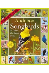 2019 Audubon Songbirds and Other Backyard Birds Picture-A-Day Wall Calendar