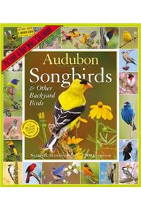 Audubon Songbirds and Other Backyard Birds Picture-A-Day Calendar 2019