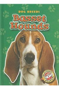 Basset Hounds