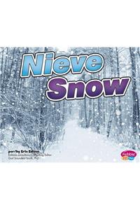 Nieve/Snow