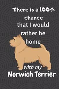 There is a 100% chance that I would rather be home with my Norwich Terrier