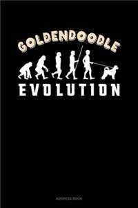 Goldendoodle Evolution