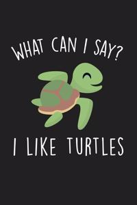 What Can I Say I Like Turtles
