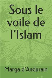 Sous le voile de l'Islam