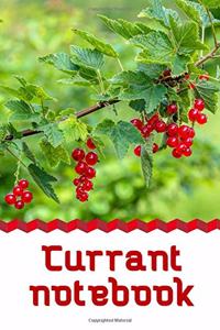 Currant notebook