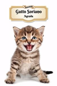 2020 Gatto Soriano Agenda