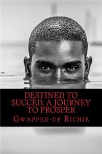DESTINED to SUCCED, a JOURNEY to PROSPER