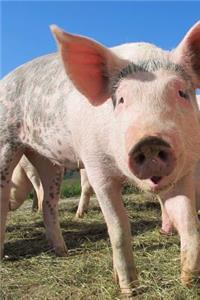 Pig Notebook