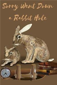 Sorry Went Down a Rabbit Hole