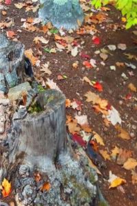 2019 Weekly Planner Fall Foliage Leaves Ground Tree Stump 134 Pages