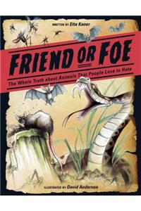 Friend or Foe