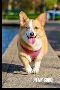 Oh My Corgi