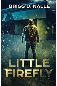 Little Firefly: An Irregular Romance