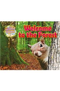 Welcome to the Forest