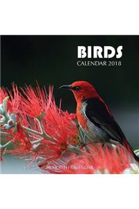Birds Calendar 2018