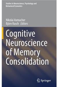 Cognitive Neuroscience of Memory Consolidation